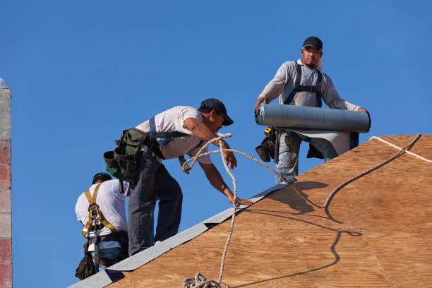 Best Metal Roofing Contractor  in Campbellsburg, KY