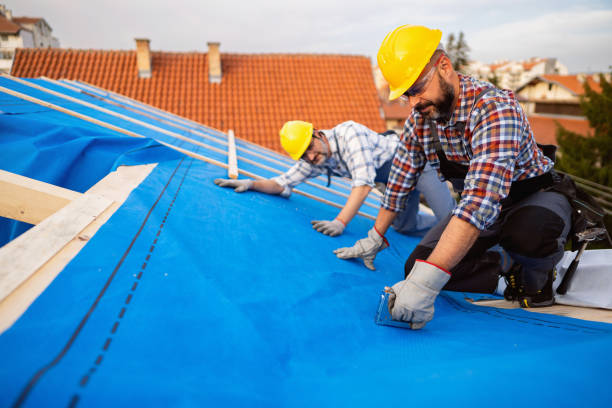 Best Gutter Installation and Roofing  in Campbellsburg, KY