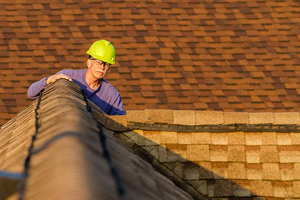 Best Roof Leak Repair  in Campbellsburg, KY